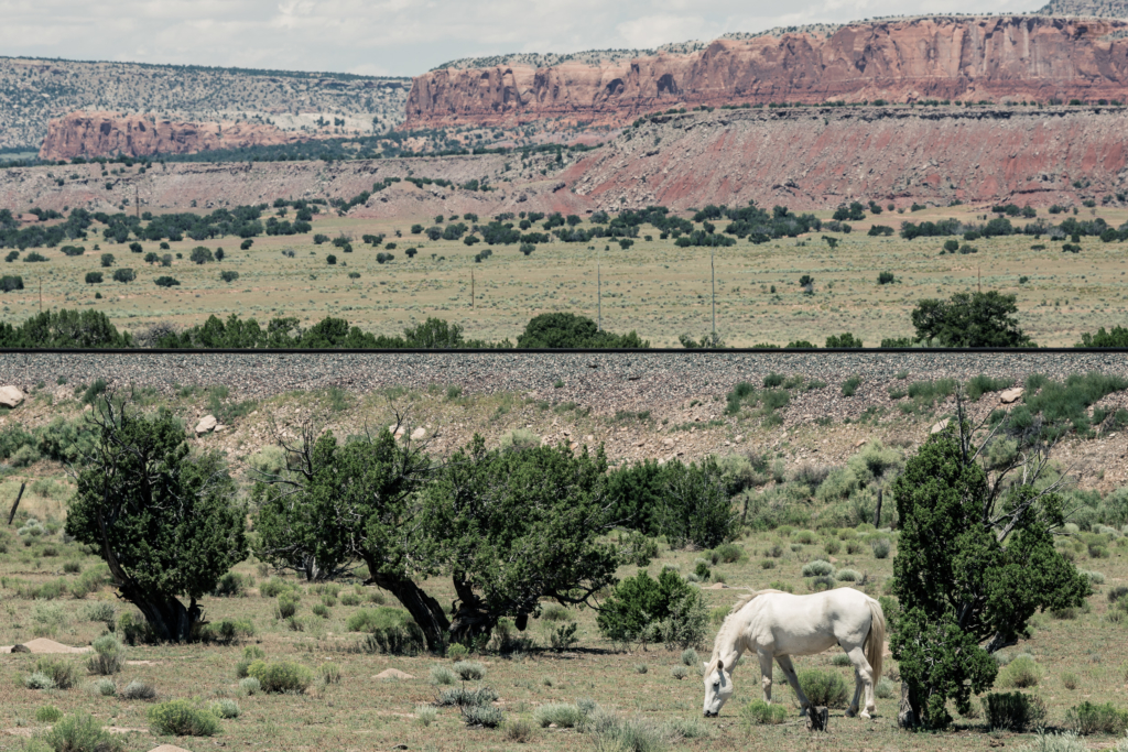 Gallup